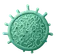 α-Amylase